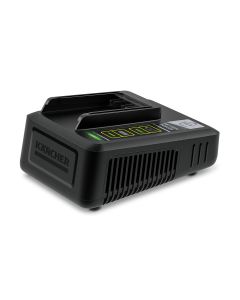 Fast Charger Battery Power 36 V